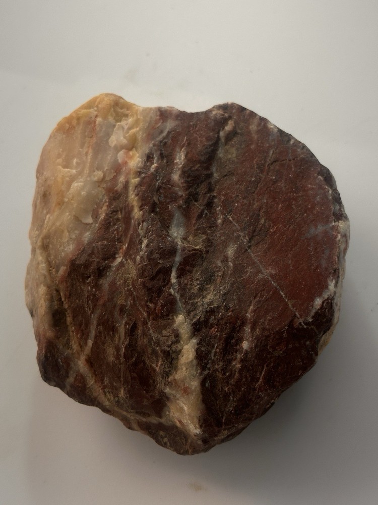 Petrified Steak Dinner
