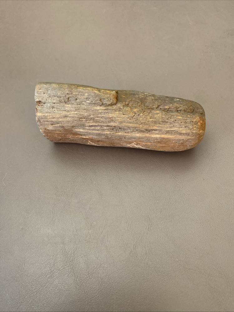 Petrified Wood