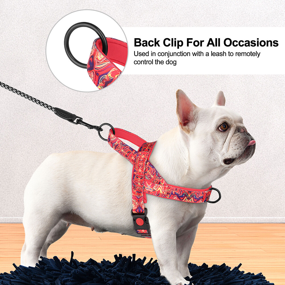 No Pull Dog Harness Nylon Soft Padded with Front Clip for Small Medium Large Dog