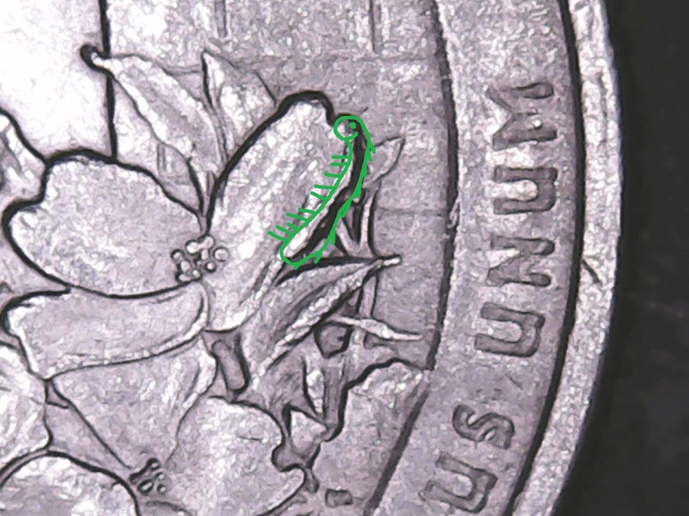 2015 P Blue Ridge Parkway ATB Quarter with Die Chips Mint Error.