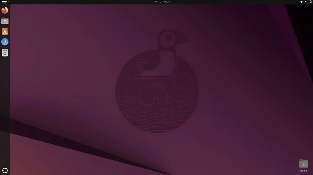 Ubuntu 25.04 Bootable USB Set Desktop & Server Edition Plucky Puffin Fast Ship