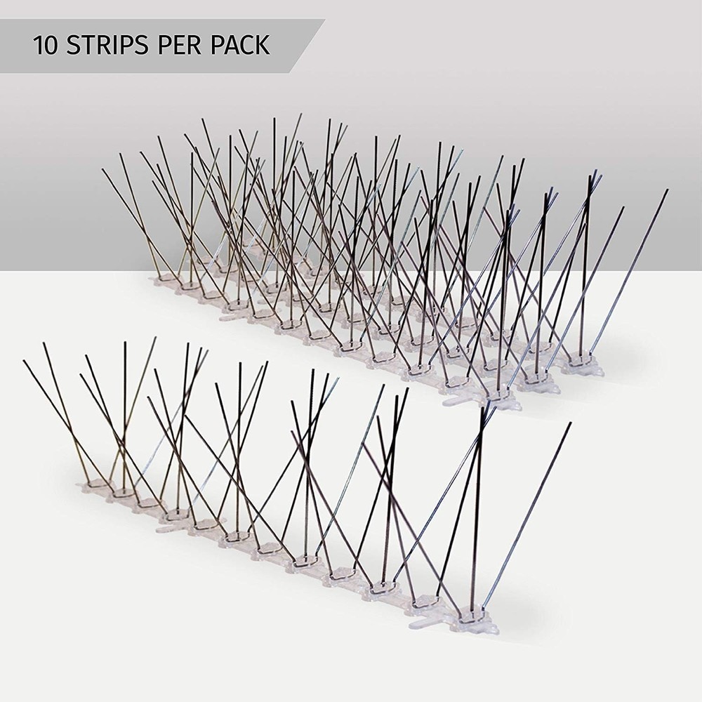 Pre-Assembled Stainless Steel Bird Spikes 10ft - Versatile & Effective Solution
