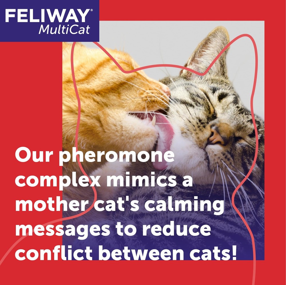 FELIWAY MultiCat Calming Pheromone Diffuser Kit: 1 Diffuser & 6 Refills