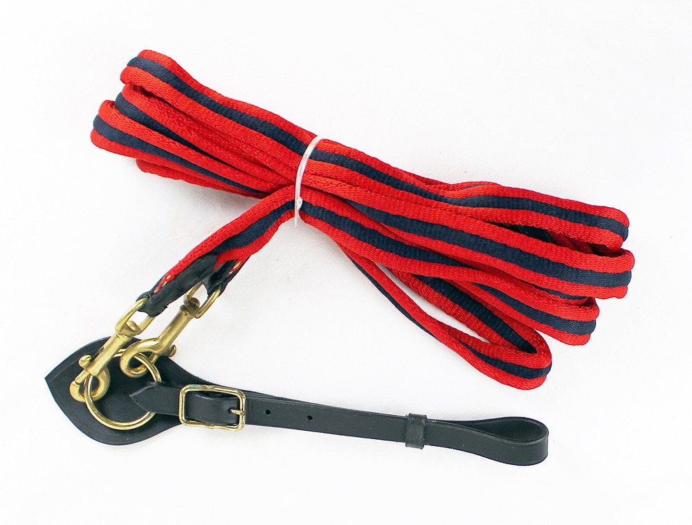 Return Reins In Padded Canvas