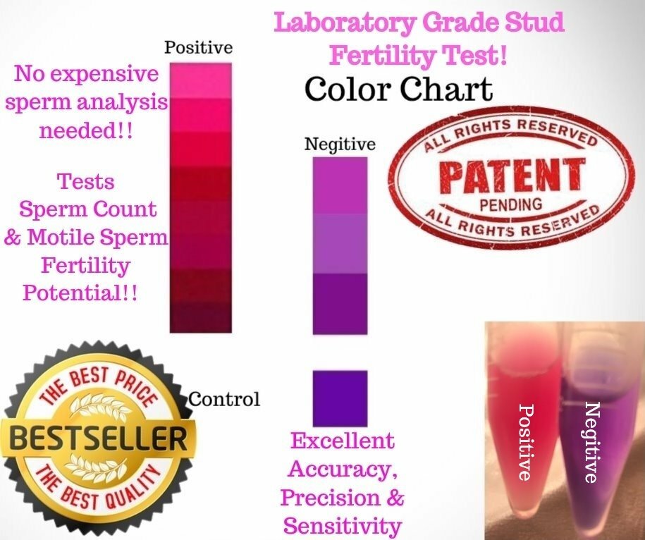 4 Canine stud dog 🔥fertility test StudCount 😎- Ovulation testing 🌺@ Home💥
