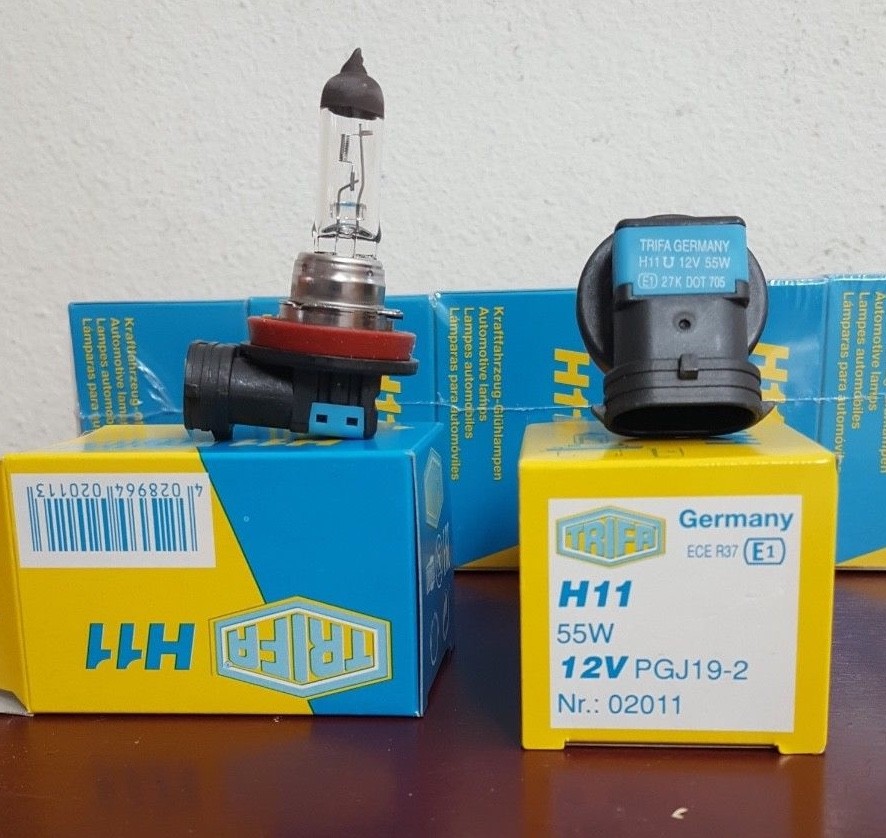 TRIFA   H11  Germany Bulbs   {10 of them}