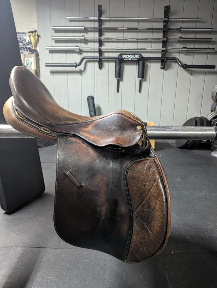 Collegiate 17" Saddle All Purpose