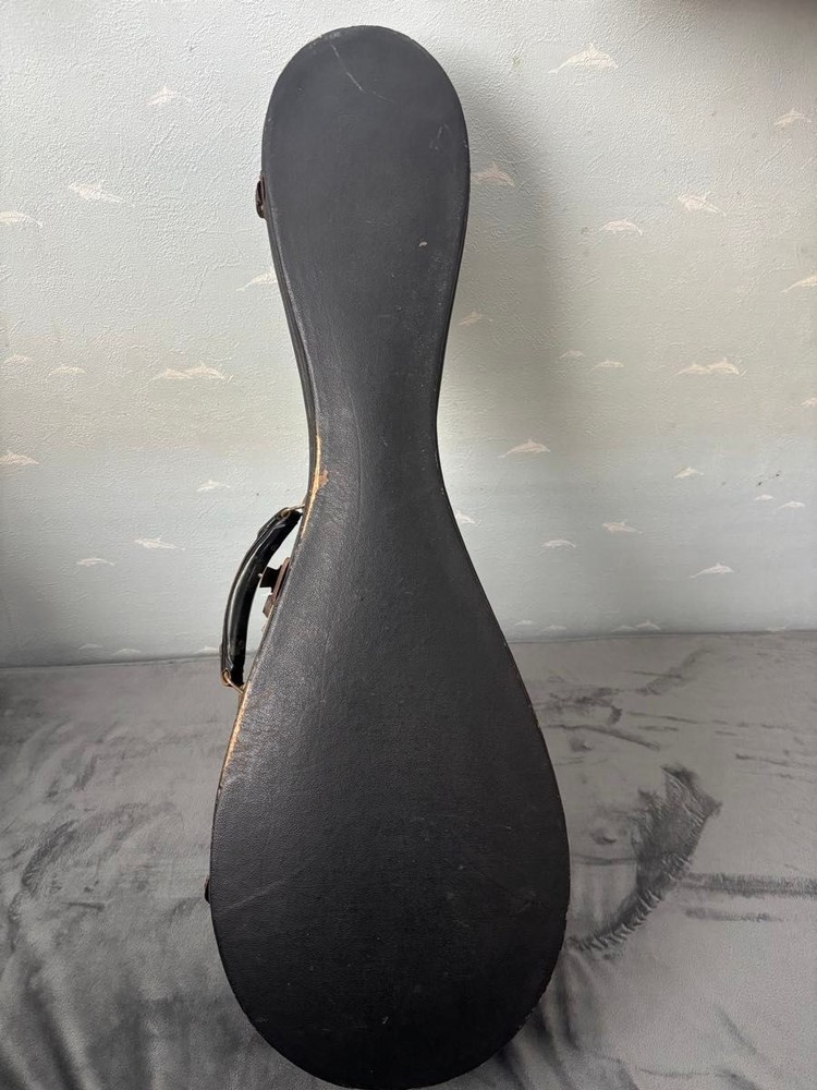 KUNISHIMA wood grain 8 string mandolin with case