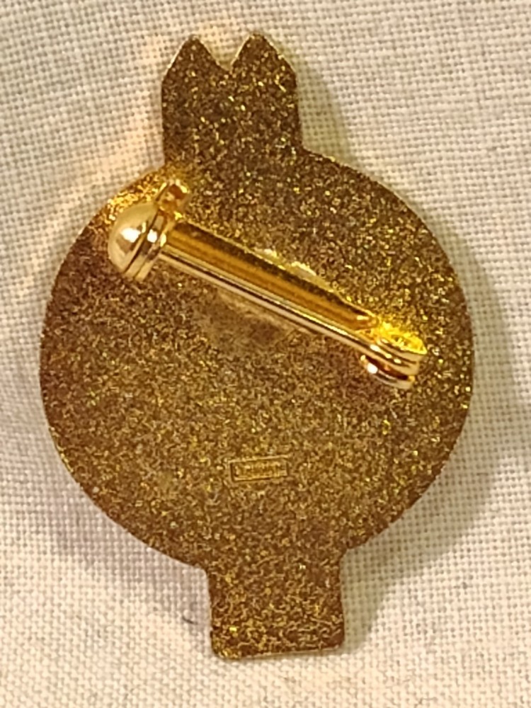 Vintage 1980s Ski Level Commentary Lapel Pin