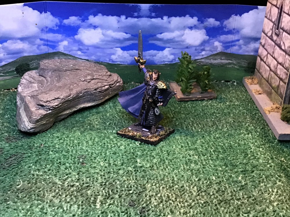 Fantasy High Elf Adventurer 25mm