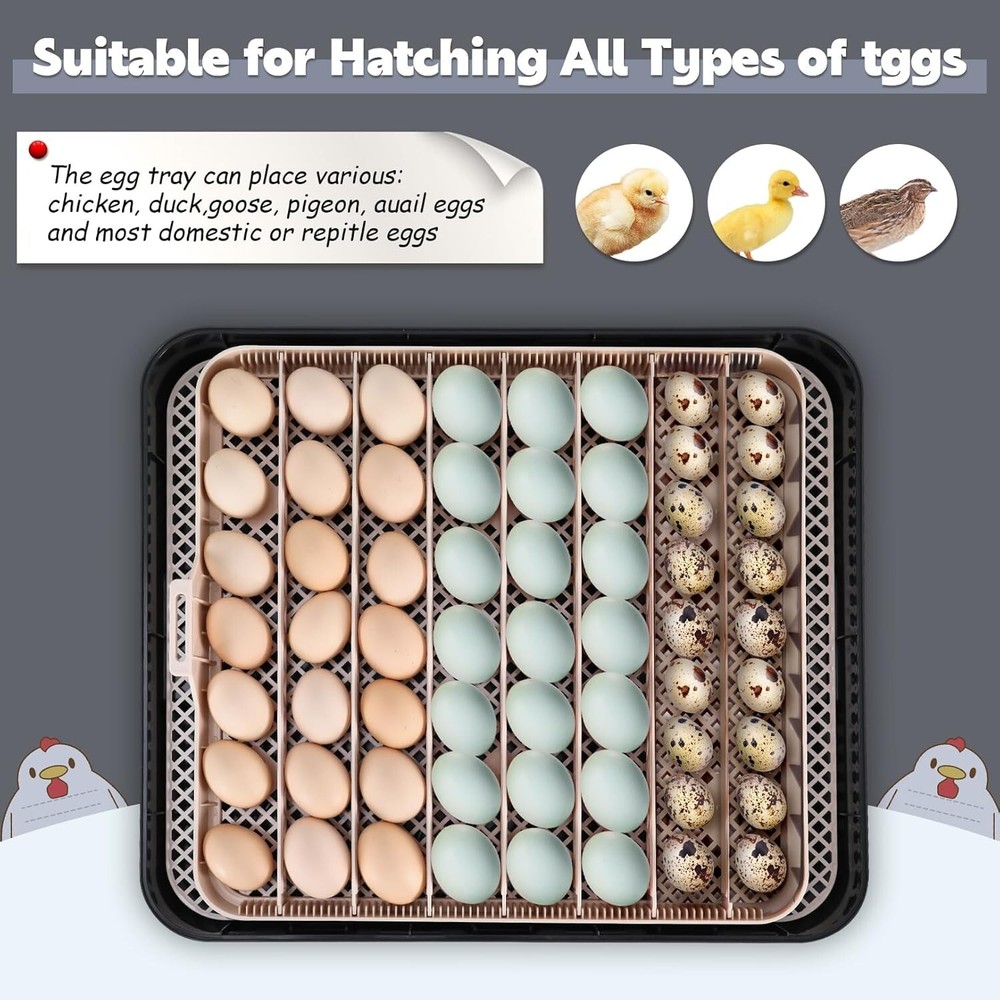 56 Egg Incubator for Hatching Eggs with Automatic Egg Turning & Built-in Candler