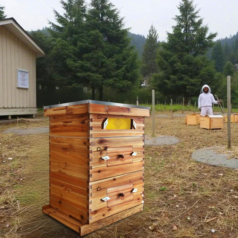 10-Frame Complete Beehive Frame Kit Wax Coated w/ 2 Deep Box 1 Medium Box