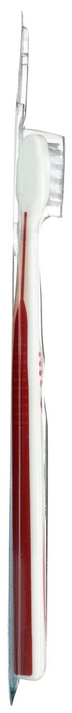 Ecodent Terradent 31 Toothbrush With Replaceable Soft Brush Head 3 Pack