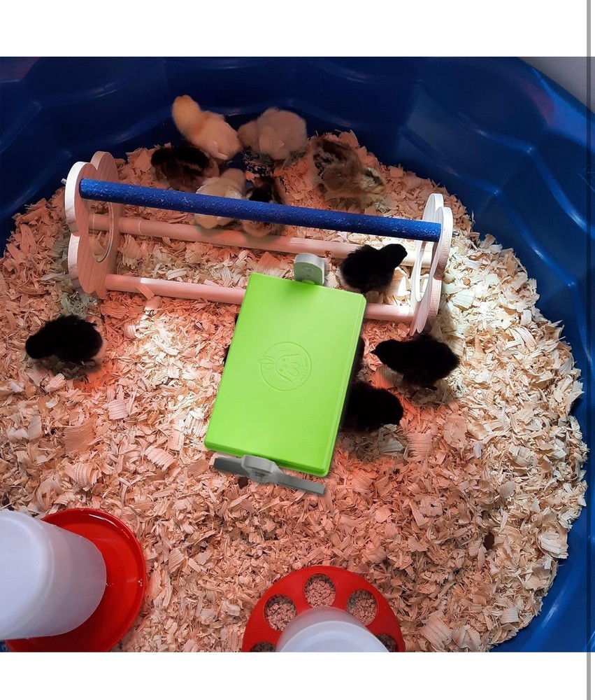 Chick Brooder (12"X8") Brooder Heater for Chicks Ducks and Birds Incubation Heat