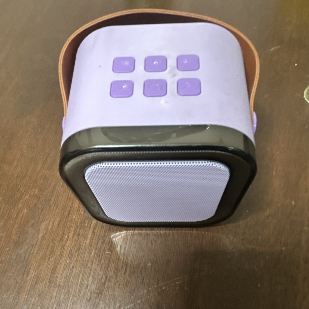 Purple Portable Karaoke Speaker with USB Input and LED Lights