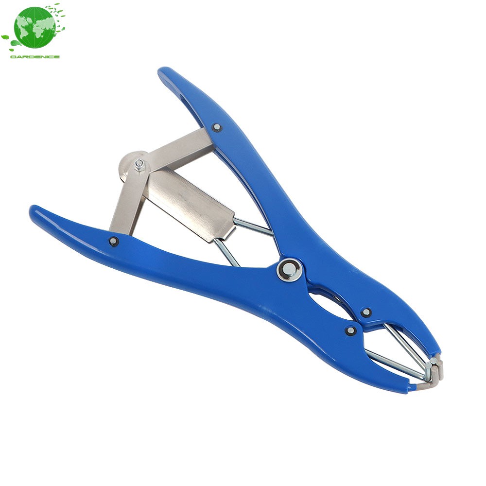 Bander Docking Elastrator Castration Applicator Sheep ＋100 Pcs Marking Ring