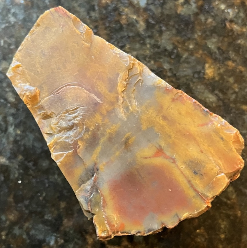 petrified wood rough