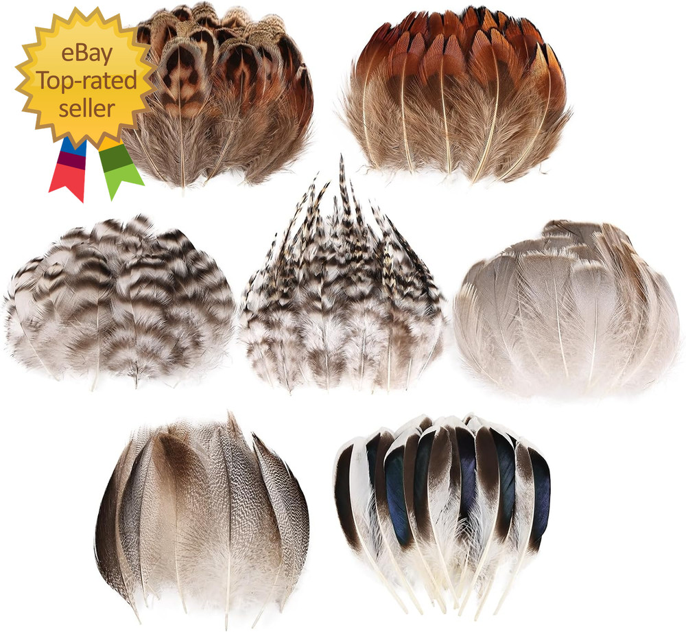 210Pcs 7 Styles Natural Bulk Feathers Assorted Mixed Feathers DIY Crafts Dream