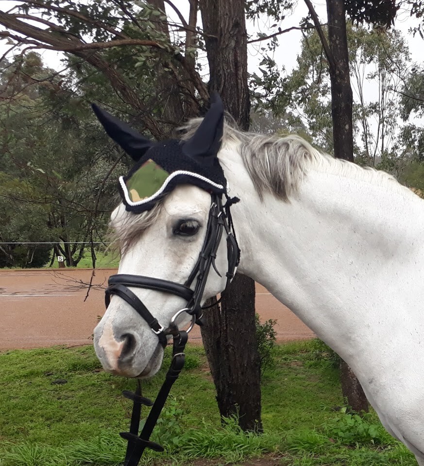 Green Camo Saddle Pad - Showjumping