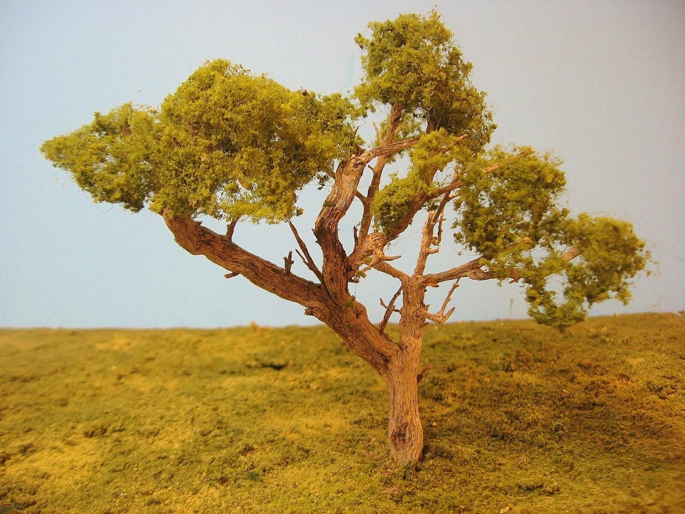 sage brush model trees