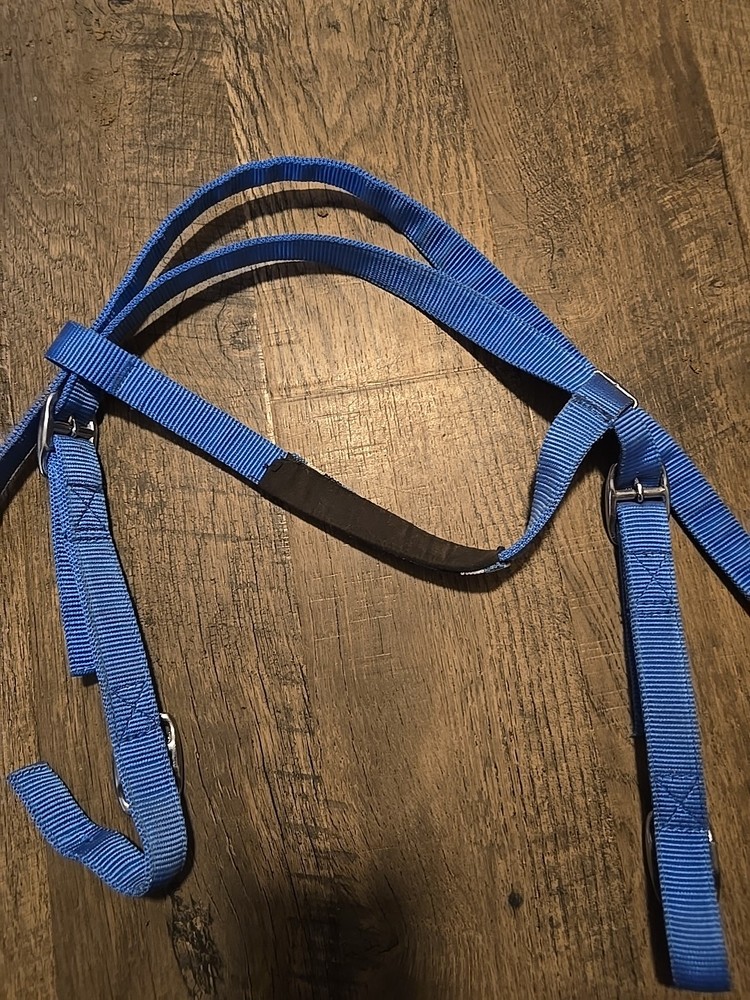 western headstall
