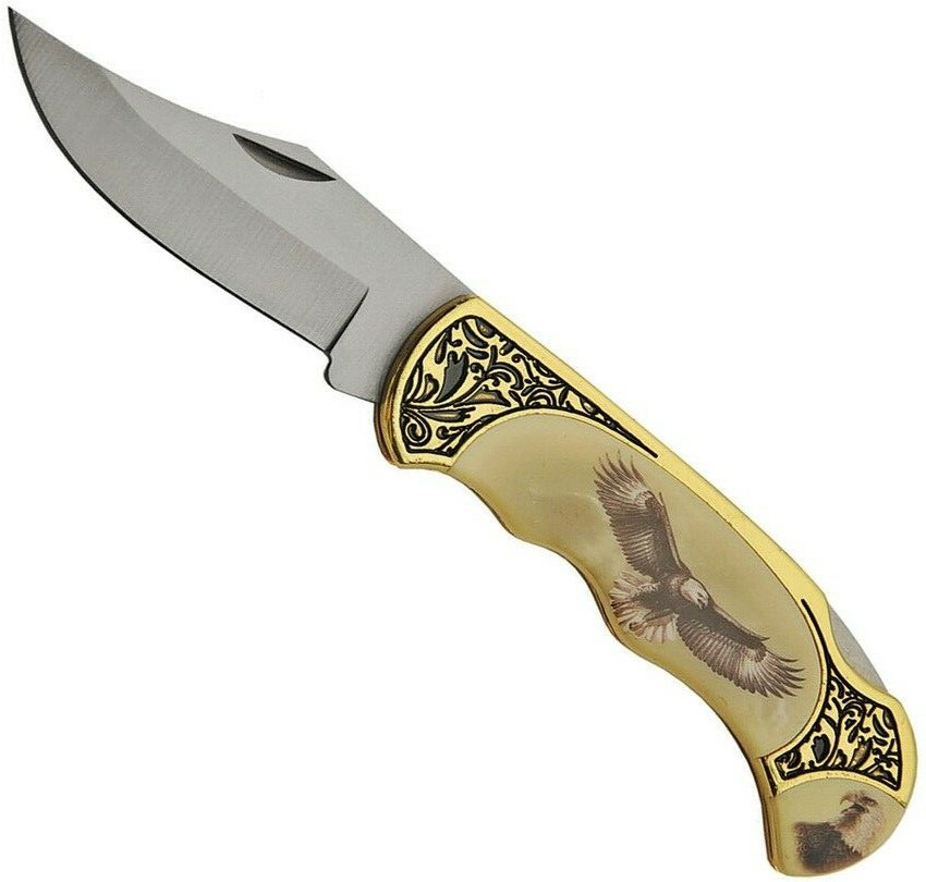 Eagle pocket Knife Gift Boxed Wildlife Collection