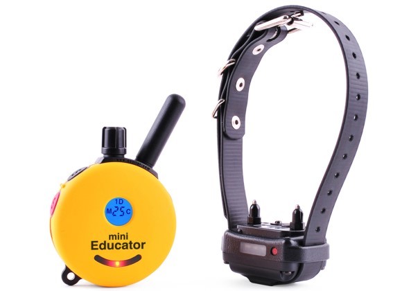 E-Collar ET-300 Mini Educator Remote Trainer Finger Training Clicker FREE!