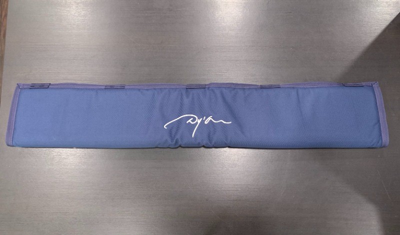 Dion Head Protector