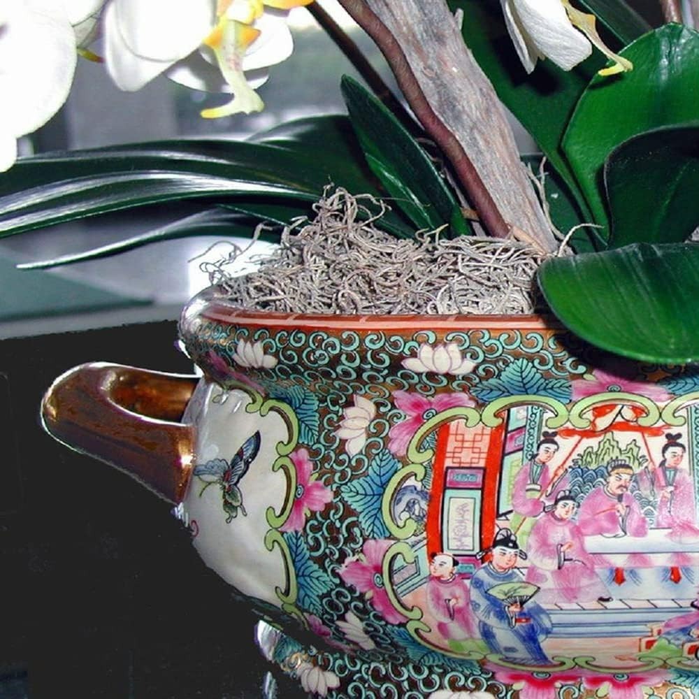 Spanish Moss, 250 Cubic Inches