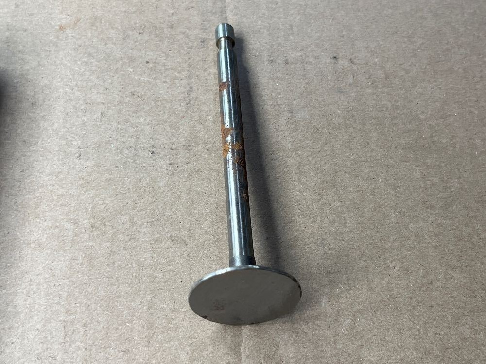 Briggs & Stratton 261462 INTAKE VALVE