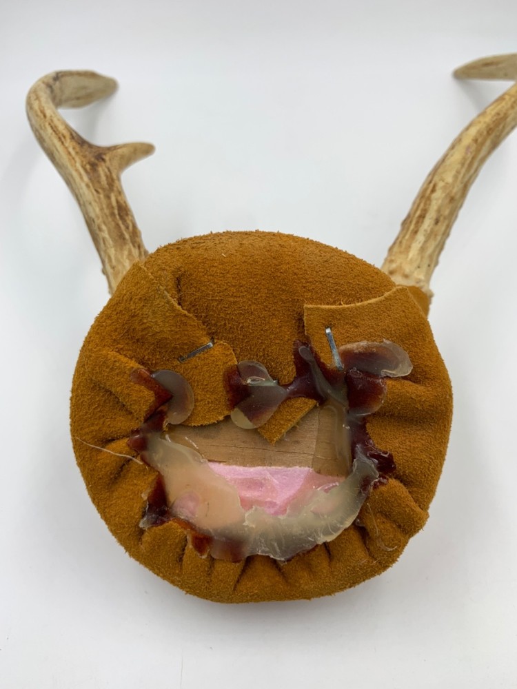 Mounted White-Tail Deer Antlers