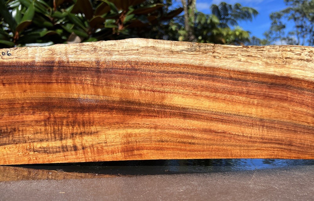 Hawaiian Curly Koa Board #12206