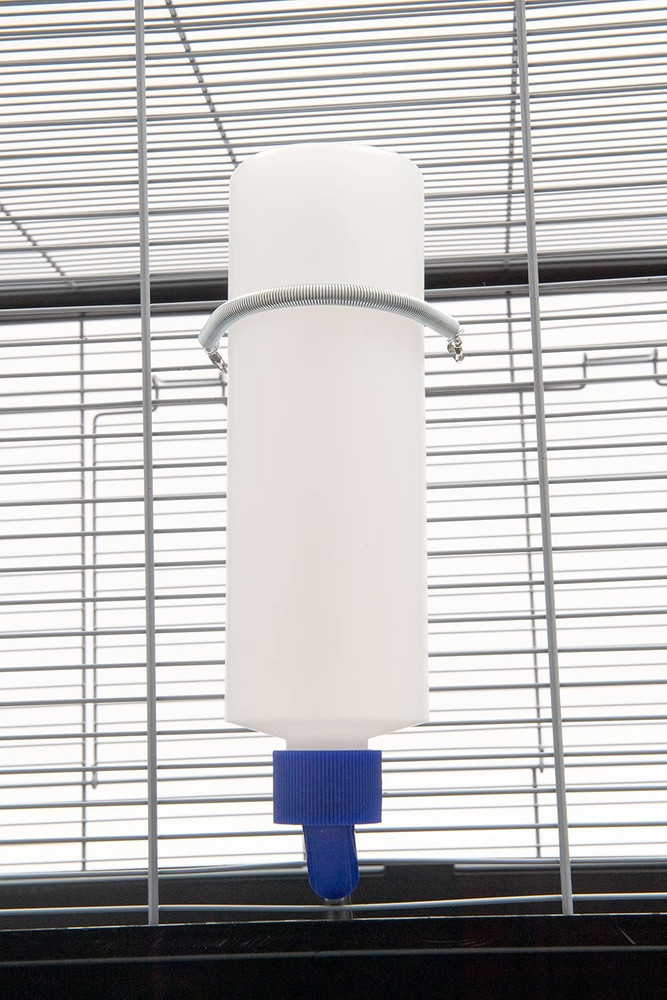 Water Bottle Kit with Spring 30-0415-036 Small Animal Hydration Accessory