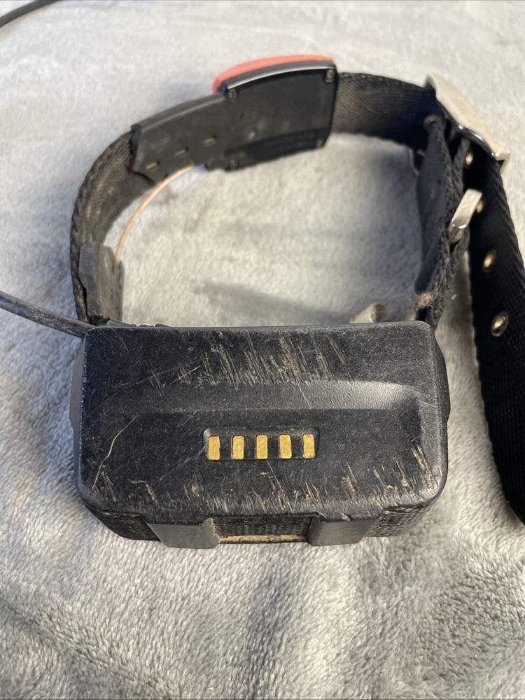 Garmin T5 GPS Dog Tracking Collar