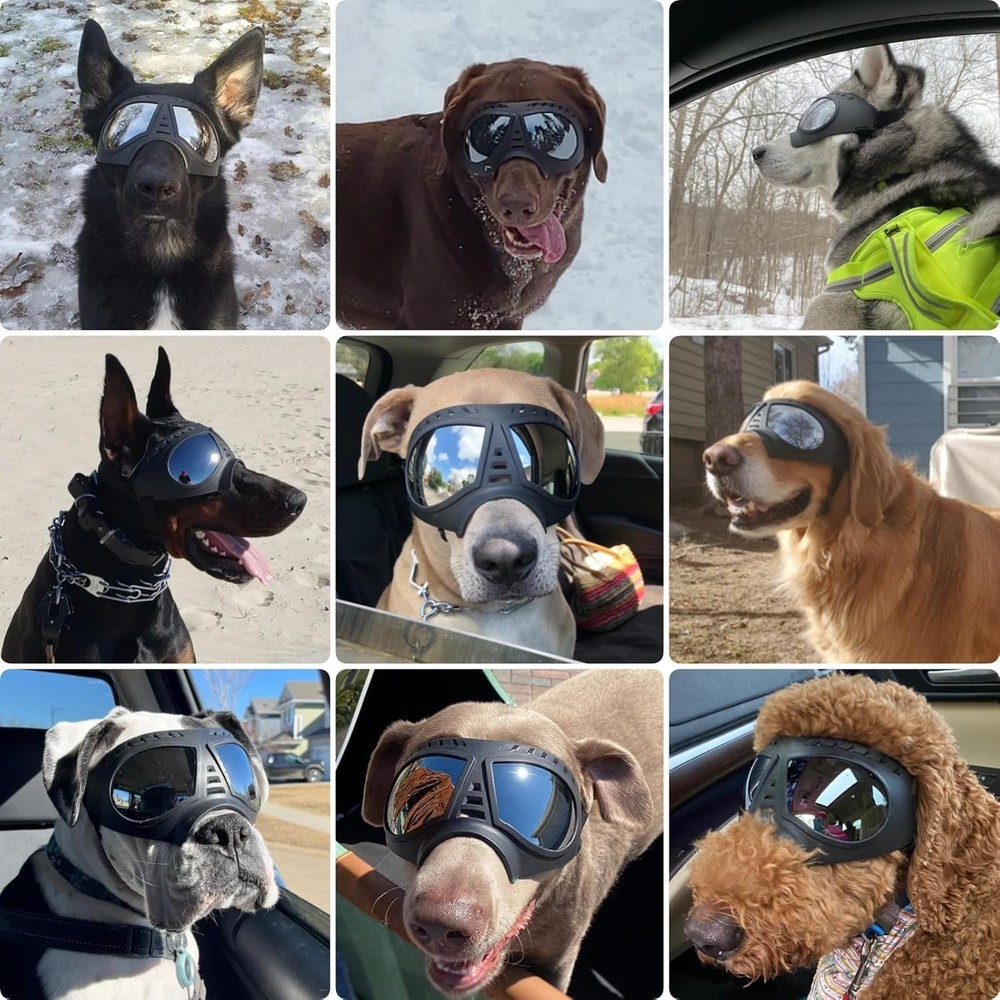 Dog Goggles Large Breed UV Windproof Snowproof Eye Protection Adjustable Strap