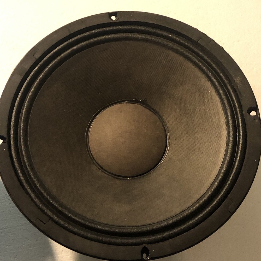 Replacement Generic/unbranded 10" Woofer Speakers (pair)