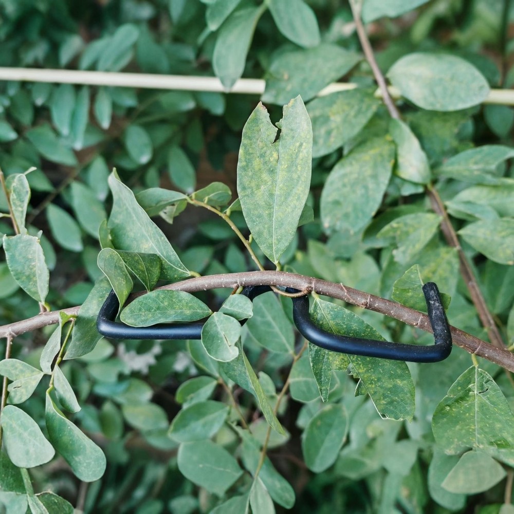 Fruit Tree Limb Spreader 5.1 Inch Plastic Hose Branch Puller Tool 20 PCS