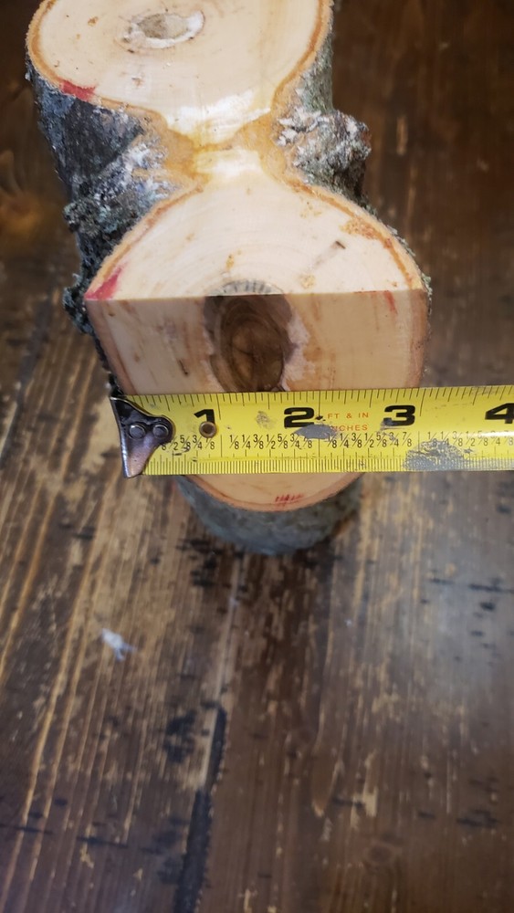 MAPLE Turning Crotch Log 10" Long M4111