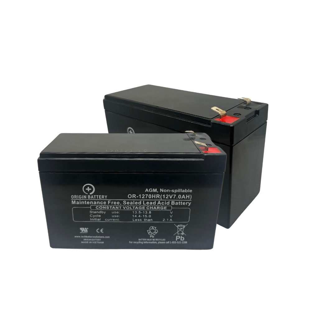 Liebert PowerSure InterActive PS700MT-230 UPS Battery Replacement