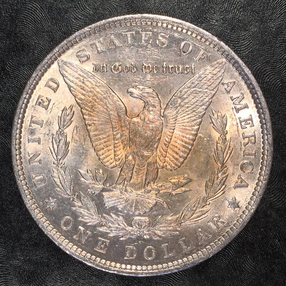 1889 Morgan Silver Dollar - High Quality Scans #E160