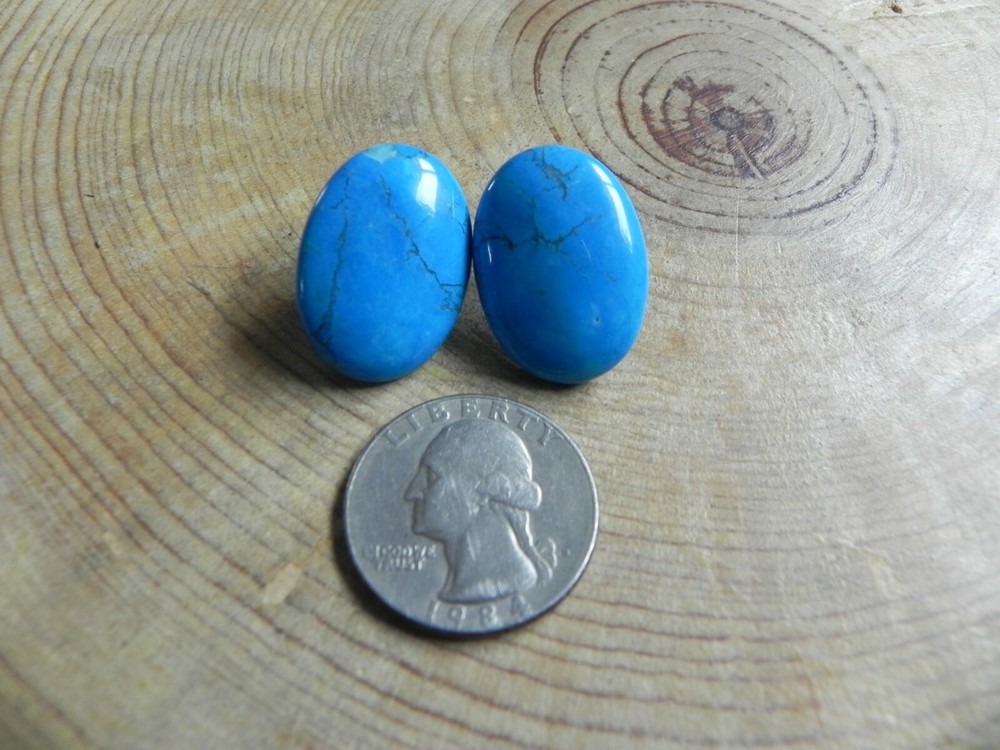 Turquoise Howlite Oval shaped Earrings