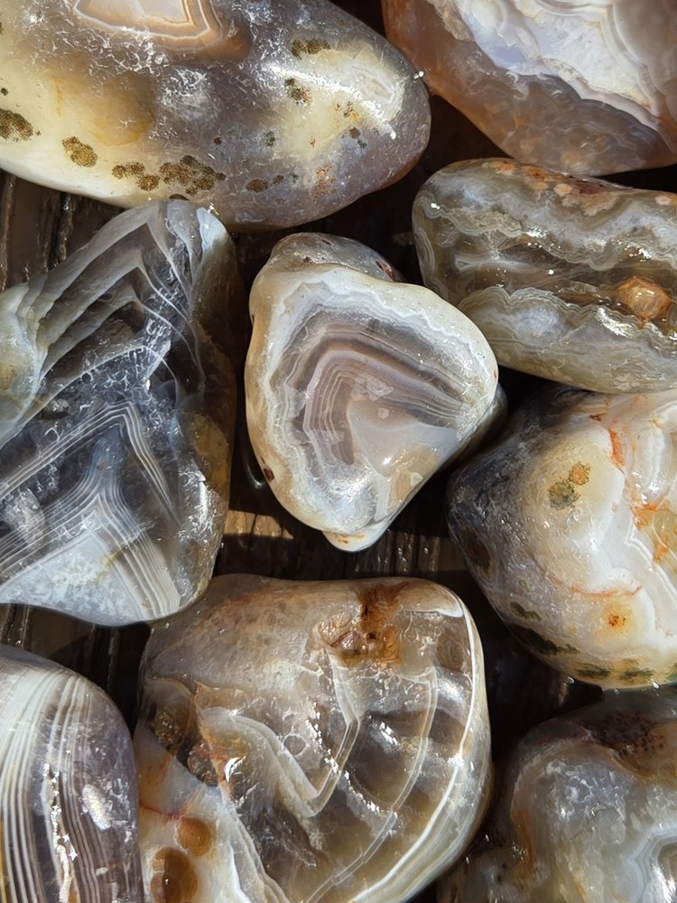 Botswana Agate Selects - GREATEST - Rough, Natural, Not Polished A+ Grade