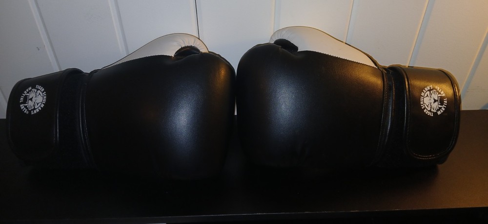 Boxing Gloves 12 oz