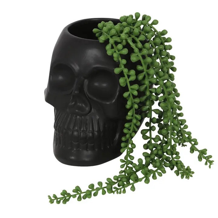something different Black Skull Plant Pot Planter