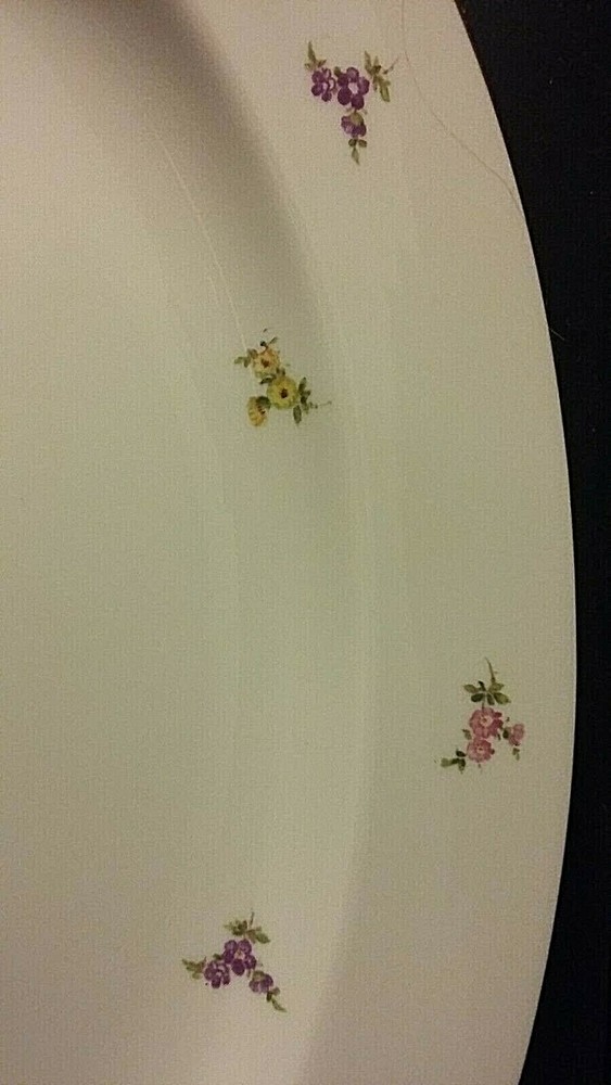 Rosenthal Hillside 14 1/2" Platter
