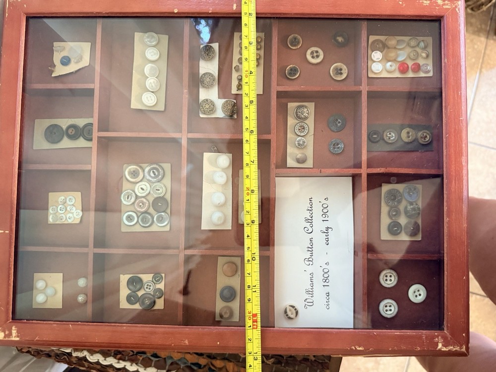 Williams Antique Original Button Collection Assorted Multicolor Round Pre-1930