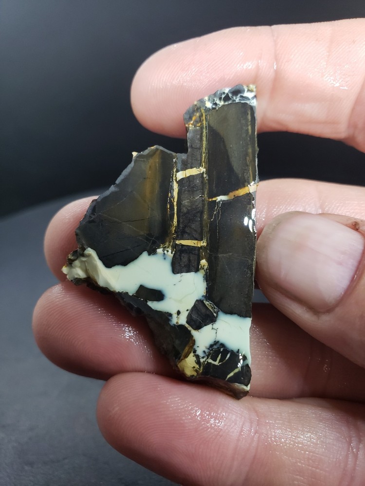 Gecko Variscite Slab