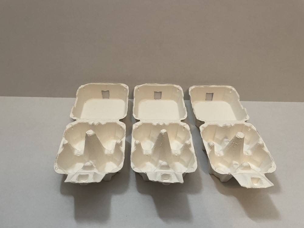 4 Count Paper Pulp Egg Carton (3 pack)