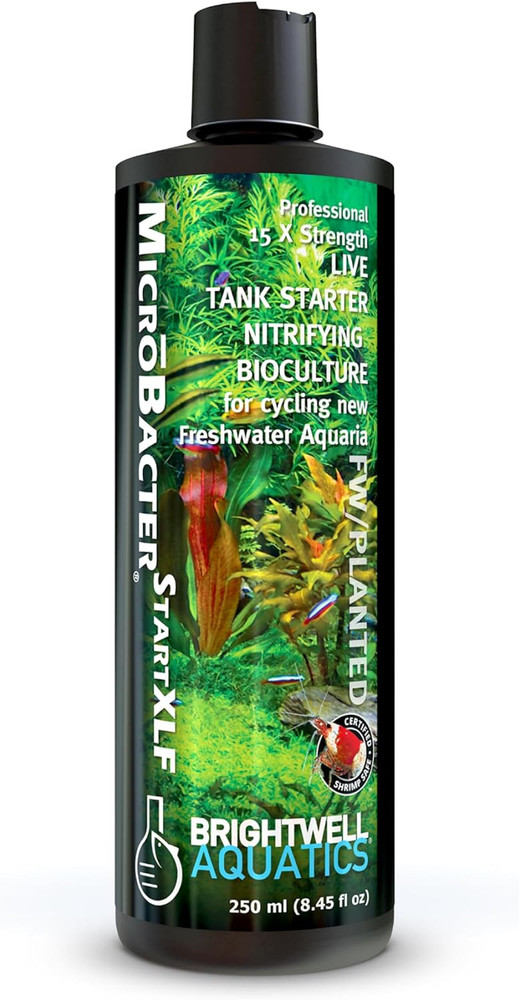 Brightwell Aquatics Microbacter Start XLF - Concentrated Freshwater Nitrifying B
