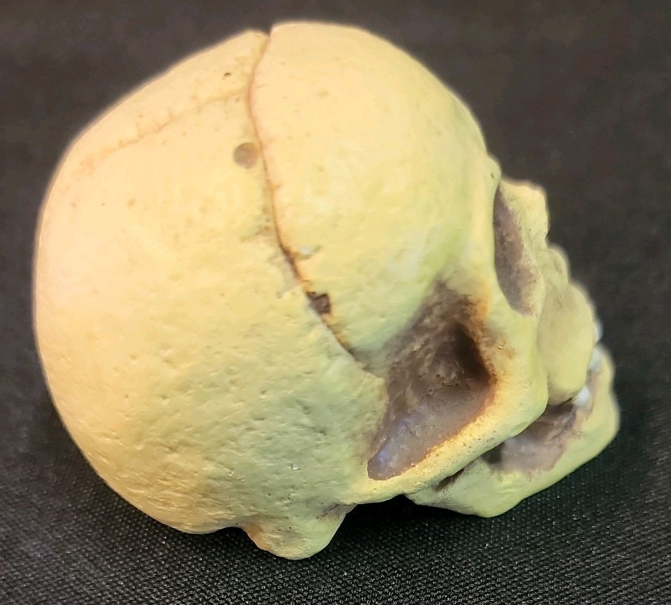 10 Piece Skull Lot